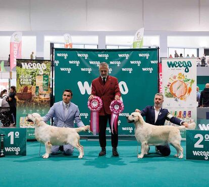 Atenção, fãs de animais! A Expo Braga está de volta já em outro... e já há data marcada