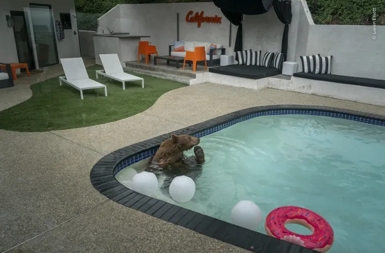 Pooltime Pastime