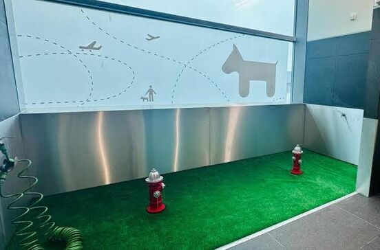'Nunca vi nada assim'. Turista surpreendido com WC canino no Aeroporto de Lisboa