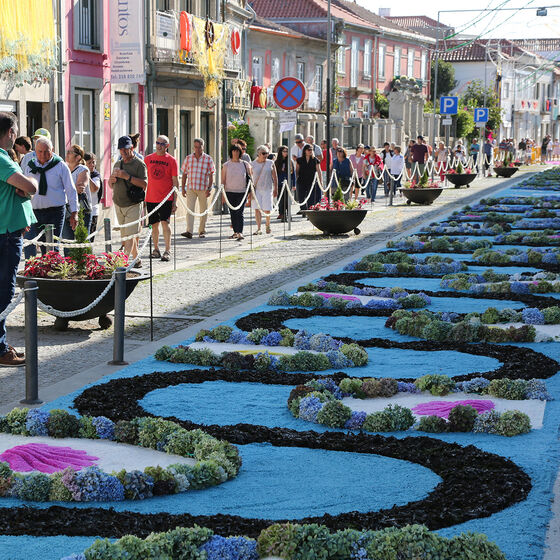 Tapetes floridos