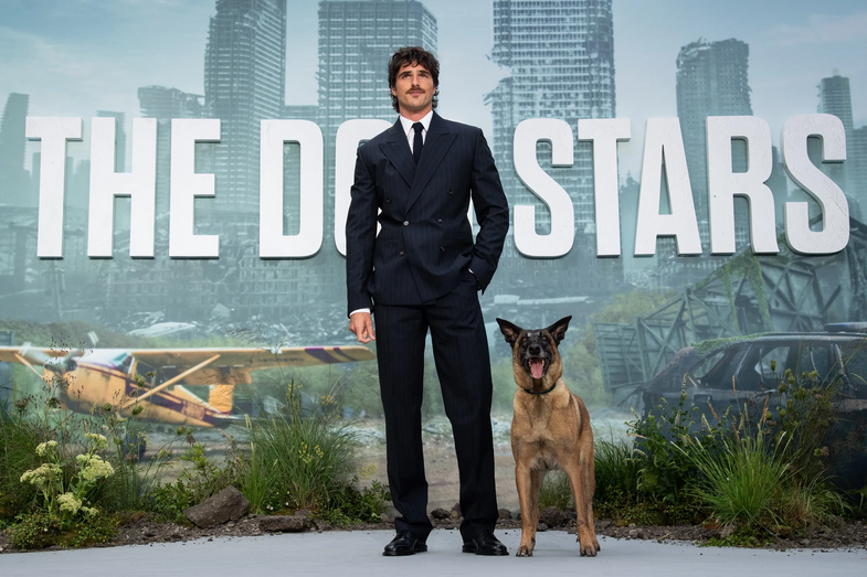 Cão de "The Dog Stars" brilha na passadeira vermelha ao lado de Jacob Elordi