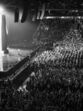 Celine Dion 