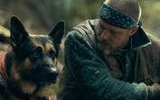 Este é o ano das estrelas caninas no cinema! Conheça o Uber, o cão que brilha ao lado de Brad Pitt em "Heróis Inseparáveis"