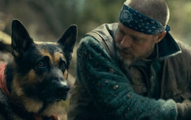 Inseparáveis no ecrã e na vida real: o cão de resgate que roubou o coração de Brad Pitt no seu novo filme