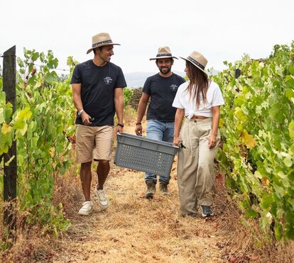 Ao ritmo das vindimas. Cinco hotéis para viver o espírito da época mais especial do Douro