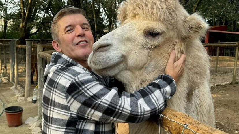 Só quer mimos! João Baião partilha momento ternurento com o camelo Camilo